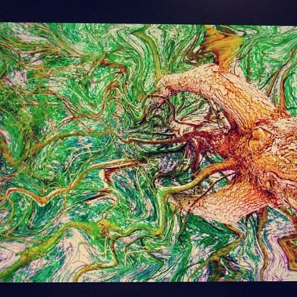 Meet your Posher, Jordan - Picture 1 of 1